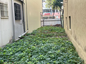 屏東市區臨20米路精華地段優質美建地｜屏東縣屏東市檳榔腳段二小段