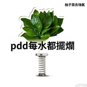 🚚臺灣48H出🚀柚子葉小紅書同款去晦氣神器搖搖樂亞克力個性禮物送朋友車載擺件🚍免運+可開發票🎀