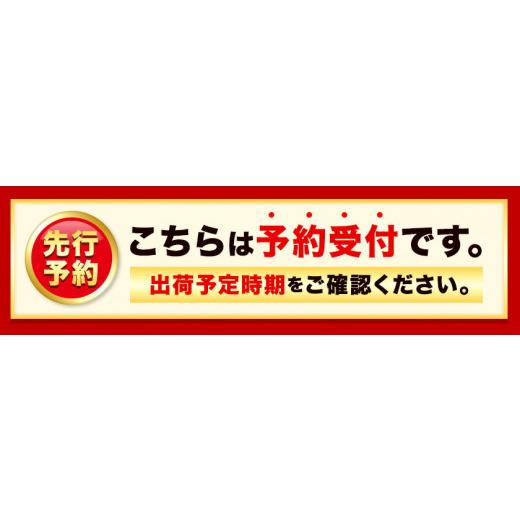 ふるさと納税 和歌山県 紀の川市  あら川の桃 約3kg 8-11玉 室谷青果 《2024年6月下旬-8月中旬頃より順次出荷》 和歌山県 紀の川市