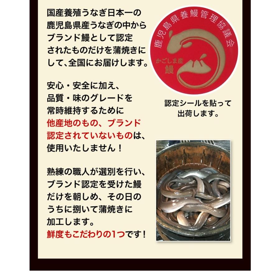 ギフト うなぎめし せいろ蒸し仕立て 8食 うな重  プレゼント 鹿児島県 佐賀県産特別栽培米 山椒 送料無料 クール便