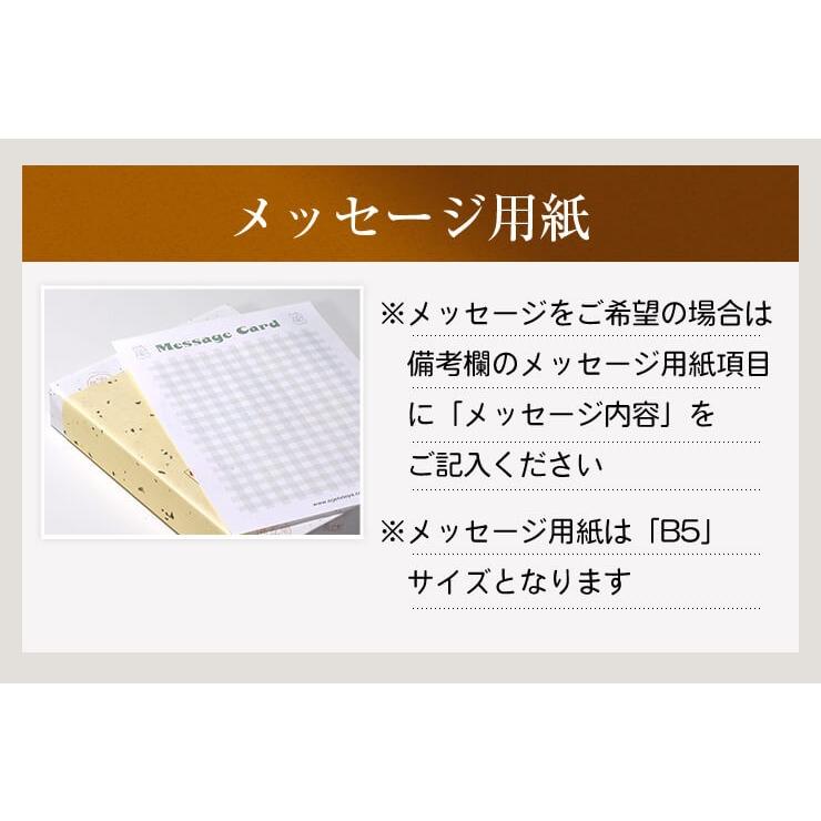 お試し  送料無料 さつま揚げ 揚立屋  ネット限定  鹿児島