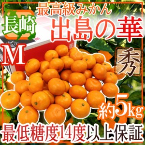 長崎産 ”出島の華” 秀品 Mサイズ 約5kg 送料無料