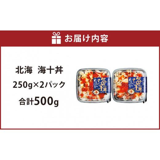 ふるさと納税 北海道 札幌市 北海　海十丼　250ｇ×2