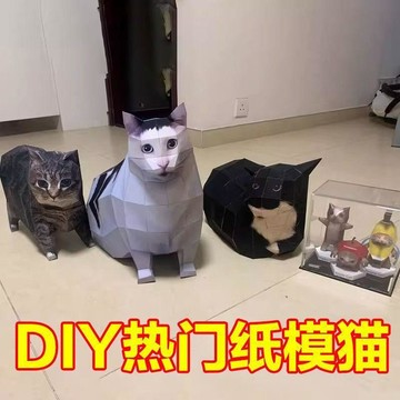 臺灣熱賣🔥🔥同款 meme手工3D立體摺紙 模型貓玩具 搞怪抽象材料包 送人禮物