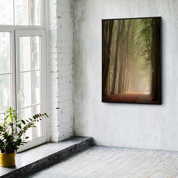 沐浴之森-玄關掛畫/臥房/複製畫/綠意植物/餐桌佈置/床頭櫃