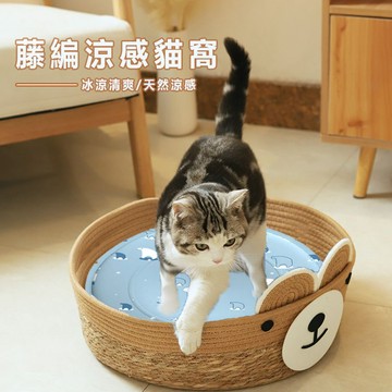 【AOYI奧藝】（台灣現貨）小熊造型寵物藤編窩+涼墊 貓睡床 貓窩 睡墊