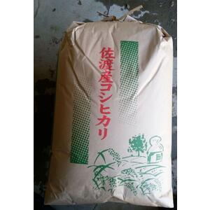 ふるさと納税 高島農場の農薬不使用コシヒカリ30kg玄米 新潟県佐渡市