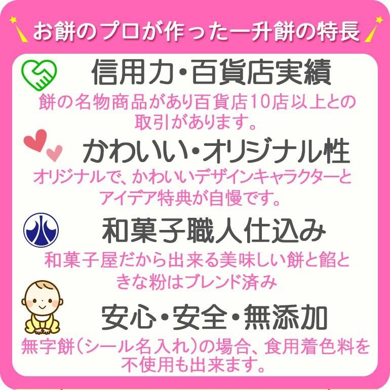 一升餅 ご家族で書 名入れシール付き 誕生餅 一生餅 祝い 風呂敷付きセット いっしょう もち かわいい 思い出に