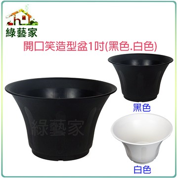【綠藝家】開口笑多肉專用造型盆1尺(黑色、白色共2色可選)