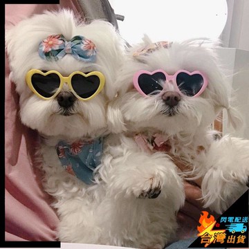 【台灣出貨】寵物墨鏡 搞怪愛心眼鏡  寵物護目鏡 狗狗貓咪墨鏡 心形太陽眼鏡 時尚網紅道具 狗狗護目鏡