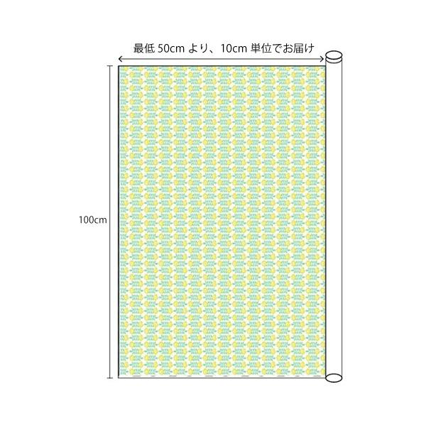 生地・布・入園入学　≪ スプリングデイ ≫　ラミネート生地 幅100cm　つや消しサラサラ　　