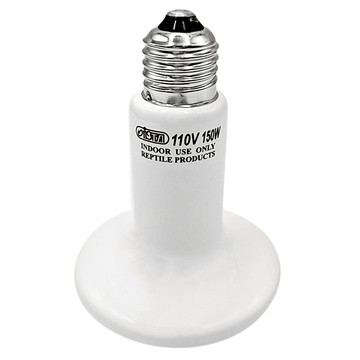 ISTA伊士達 遠紅外線陶瓷加熱器 爬蟲聚熱燈泡 爬蟲燈泡  白色  1個