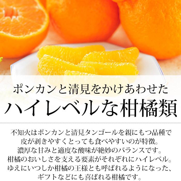 みかん 愛媛県産 濃媛 不知火 しらぬい 糖度14度以上 約2.5kg 7〜11個