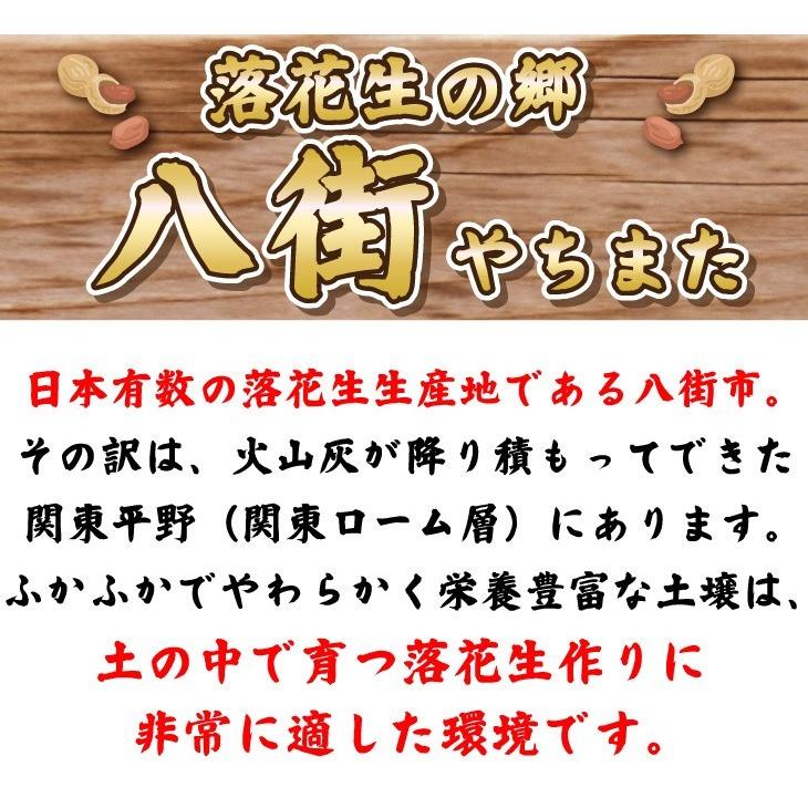 超得クーポン配布中 令和5年新豆スタート 殻付き落花生 千葉県 国産 やちまた産 高級感あるクラフト袋 中手豊品種 120g×4袋 ナッツ 贅沢 酒のつまみ 年末年始