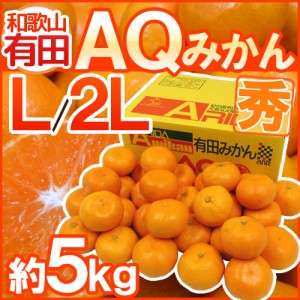 和歌山産 ”AQみかん” 秀品 L 2L 約5kg 有田みかん 送料無料