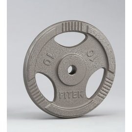 10公斤手抓孔槓片 10KG槓片 10KG槓片 10公斤鑄鐵槓片 舉重/重量訓練【Fitek健身網】