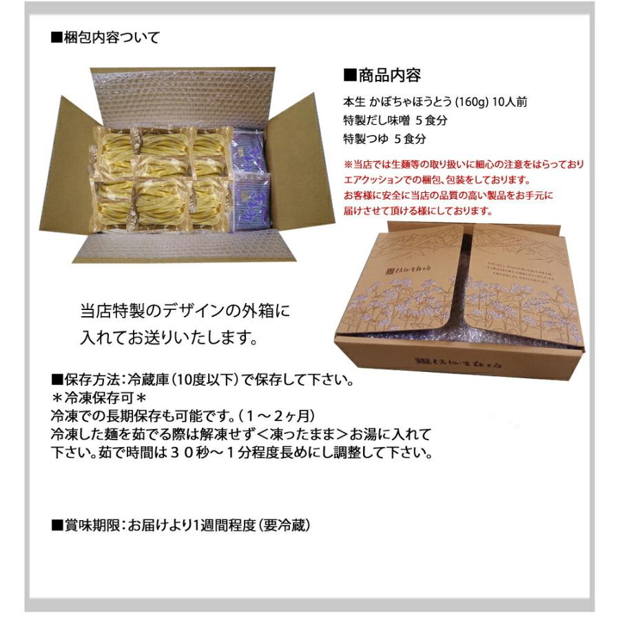 本なま麺　かぼちゃほうとう　10食セット　だし味噌、天然かぼちゃ粉末使用 つゆ付き 送料無料(※北海道、九州、四国、沖縄は別途送料加算となります)