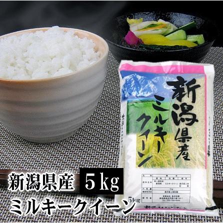 新米 米 5kg 新潟産ミルキークイーン 令和5年産 白米 送料無料（北海道・九州・沖縄は除く）離島は発送不可