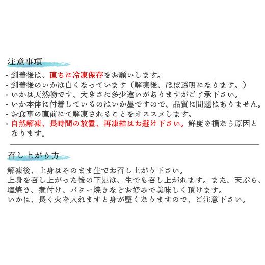 ふるさと納税 佐賀県 唐津市  呼子のいか活造り(180g前後×2) 小サイズ コリコリ甘い鮮度抜群の透明感! 刺身 ギフト 冷凍「2023年 令和5年」