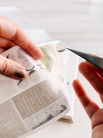 Sunny Days 5cm 割型和紙膠帶