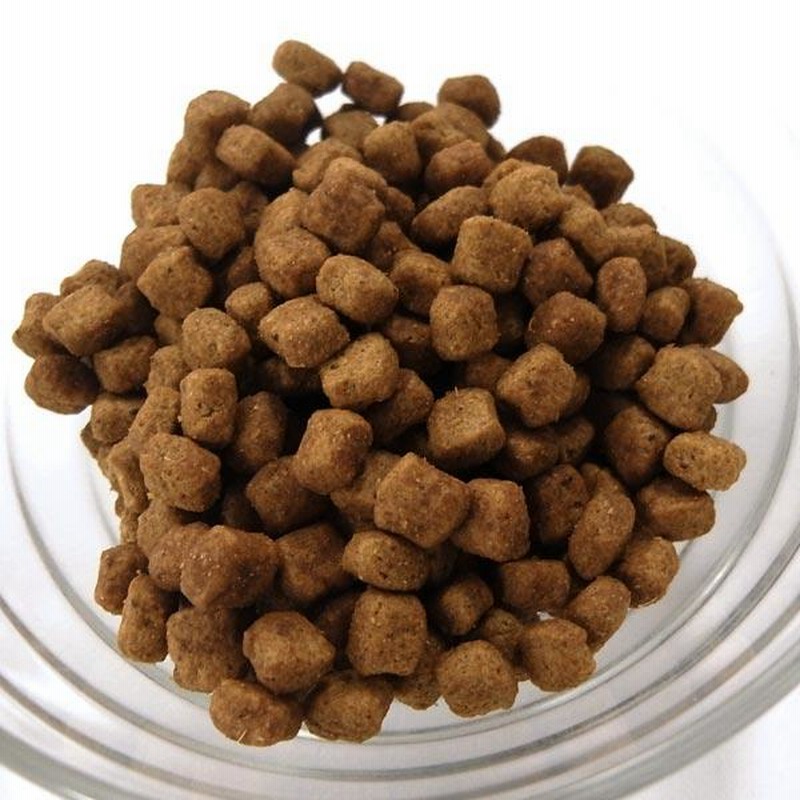猫　ロイヤルカナン　インドア　400g×11 ロイヤルカナン インドア 400g / 室内で生活する成猫用（生後12