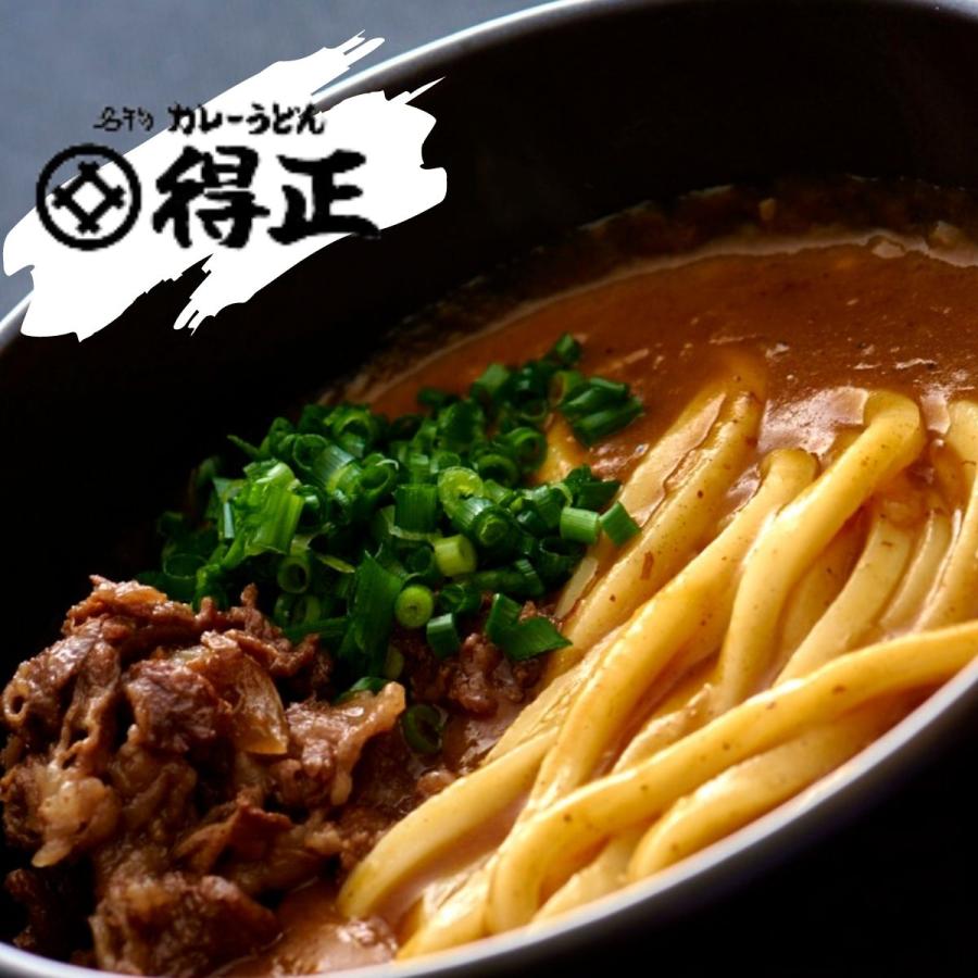 得正 カレーうどん レトルト だし 1kg ×1袋(約3人前)  大阪 お土産  カレーうどんの素 お取り寄せグルメ レトルト食品