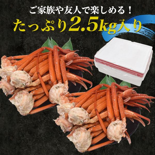 訳あり 茹で 紅ズワイガニ A級品 肩脚 合計2.5kg 詰め合わせ ボイル 紅ずわい蟹 国産 蟹 鮮魚 日本海産 カニ 未冷凍 産地直送 お取り寄せ食材 冷蔵配送