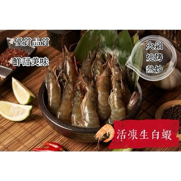 活凍白蝦 冷凍白蝦 生凍白蝦 白蝦 年菜 50/60 1.03kg   烤肉  海鮮  冷凍食品 蝦 [誠實討海人]