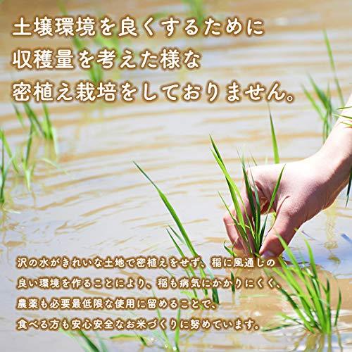 令和5年産 秋田県産 特別栽培米 あきたこまち 厳選米 米びつ当番プレゼント付き