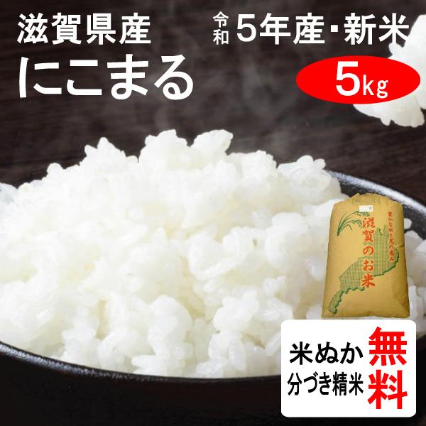 新米 5kg 滋賀県 にこまる 1等玄米