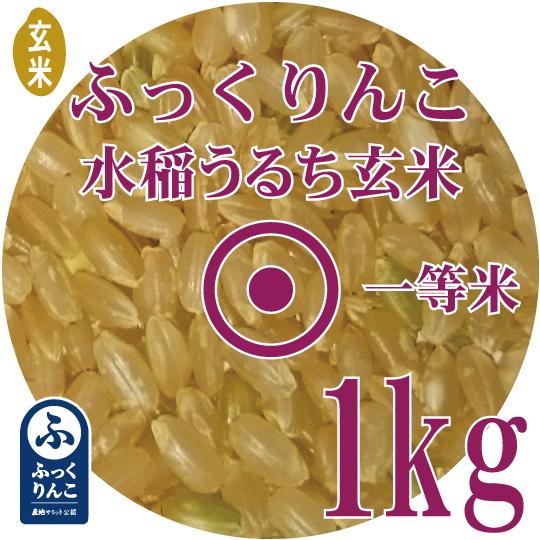 お試し玄米　令和5年産　北海道産 ふっくりんこ 玄米 900ｇ　一等米 北海道米　メール便 送料無料