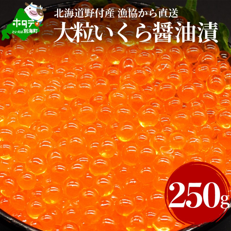 13000円 新作商品 ふるさと納税 別海町 北海道産 イクラ醤油漬け 500g 小分け2