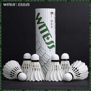 WITESS目擊者羽毛球耐打6只裝打不爛耐打王鵝毛球訓練球專用404A