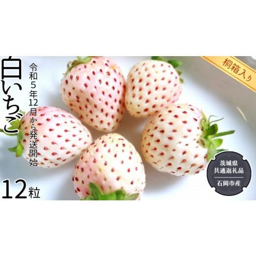 ふるさと納税 茨城県 つくばみらい市 白いちご 桐箱入り 12粒  （県内共通返礼品：石岡市産） フルーツ 果物 デザート いちご イ…