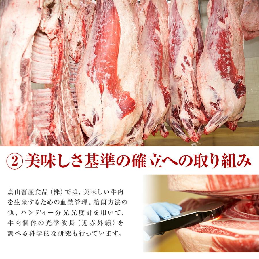 焼肉 ギフト 肉 お肉 牛肉 赤城和牛 肩サンカク ミスジ トウガラシ ウワミスジ 焼肉 BBQ セット 400g 専用旨みしょうゆたれ付 送料無料 冷凍 黒毛和牛