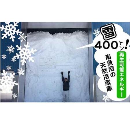 ふるさと納税 雪室貯蔵・南魚沼産 新之助 新潟県南魚沼市