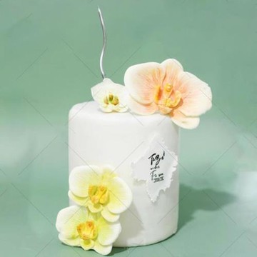 蝴蝶蘭女神母親節花朵生日蛋糕翻糖巧克力石膏香薰裝飾硅膠模具