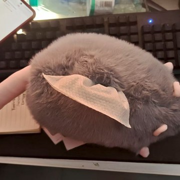 臺灣出貨+免運可愛小紅書花枝鼠同款毛絨抽紙毛絨紙巾袋仿真老鼠紙巾盒鼠紙巾套