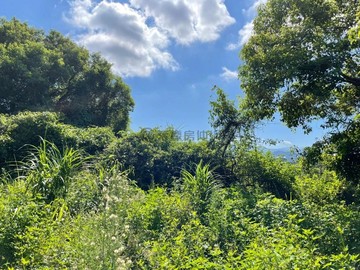 聯合大學旁視野丙建+農地｜苗栗縣苗栗市聯大