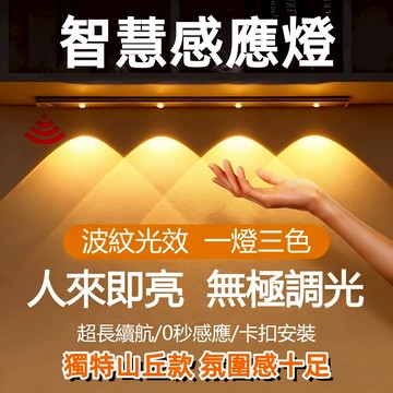 台灣出貨 人體感應燈 LED燈條 磁吸燈 小夜燈 可充電 宿舍燈 USB燈管 露營燈 衣檯抽屜燈 化妝燈 氛圍燈 長條燈