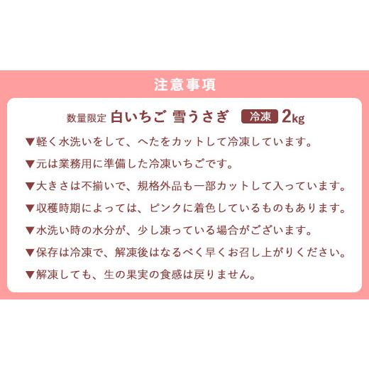 ふるさと納税 佐賀県 唐津市  数量限定 白いちご 雪うさぎ 冷凍 2kg (佐賀県唐津市産) 「2023年 令和5年」