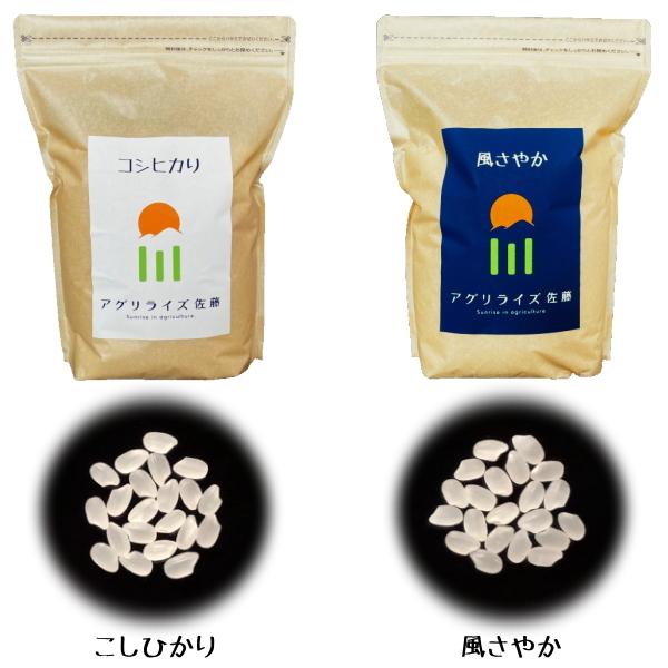 長野県産 コシヒカリ 白米 2kg 農家直送 送料無料 産地直送 美味しいお米 受賞農家 米食味鑑定士 東御市