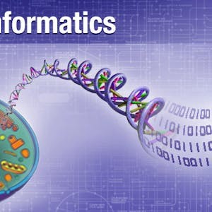 Bioinformatics: Introduction and Methods 生物信息学: 导论与方法
