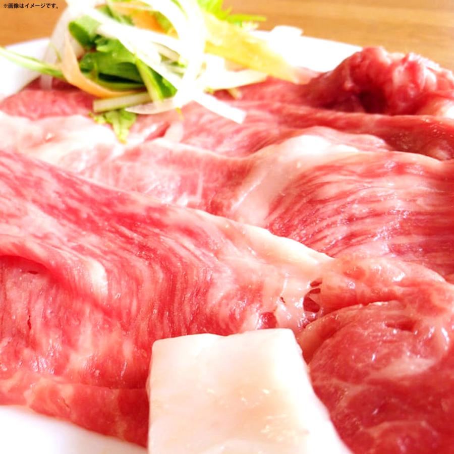 お歳暮 お年賀 肉 牛肉 ロース 佐賀牛 国産 すき焼き しゃぶしゃぶ ギフト プレゼント 内祝い お返し 贈答 佐賀牛プレミアムリブロース 500g