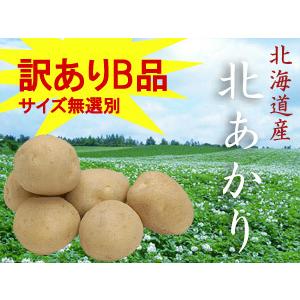 北あかり 10kg (サイズ無選別 訳ありB品) 北海道産じゃがいも (北海道留寿都 ニセコ産ほかジャガイモ) 送料無料 ジャガイモ