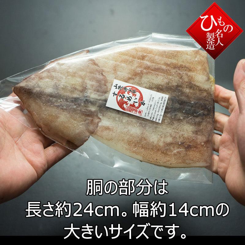 するめいか 干物（単品） 山陰沖日本海産（鳥取県・島根県産）（大サイズ 約170g）