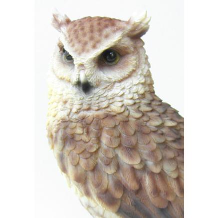 ペットバンク トラフズク PET BANK LONGEARED OWL