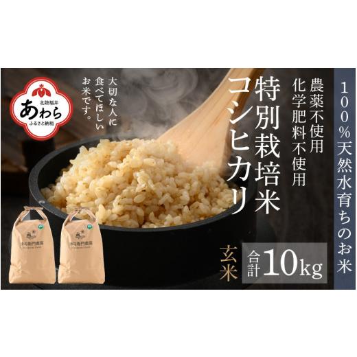 ふるさと納税 福井県 あわら市 先行予約 令和6年産 コシヒカリ 玄米 10kg 特別栽培米 5kg×2袋 化学肥料不使用  ＜温度と湿度を常時管理し新鮮米を出荷！＞※2…