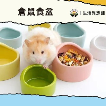倉鼠食盆 倉鼠碗 倉鼠飼料碗 倉鼠用具 圓形頂飯盆 防滑防翻 防啃咬 易清洗 小寵飼料碗