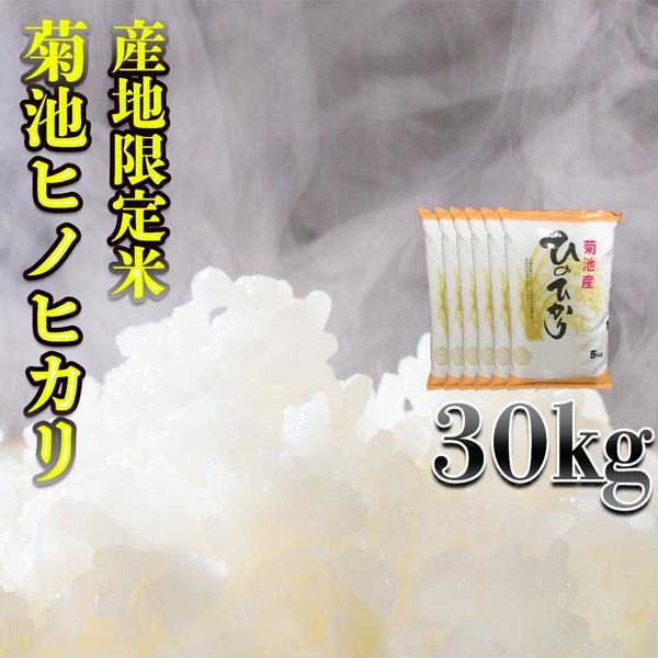 お米 米 30kg 白米 熊本県 菊池産 ひのひかり あすつく 新米 令和5年産 ヒノヒカリ 5kg6個 産地限定米 くまもとのお米 富田商店 とみた商店